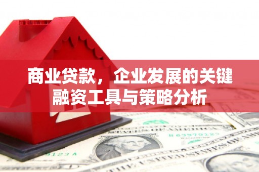 边坝商业贷款，企业发展的关键融资工具与策略分析