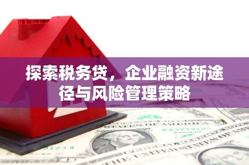 伊宁探索税务贷，企业融资新途径与风险管理策略