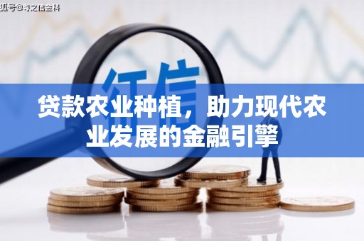 嘉模堂区贷款农业种植，助力现代农业发展的金融引擎