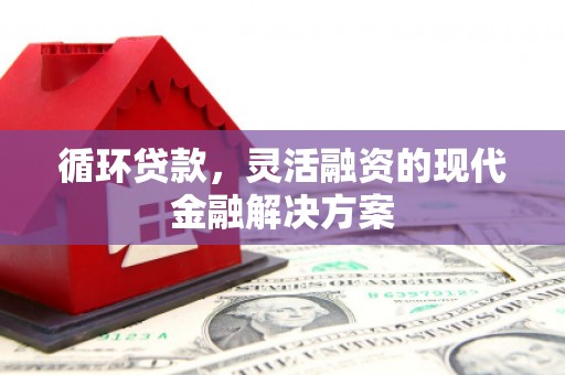 通山循环贷款，灵活融资的现代金融解决方案