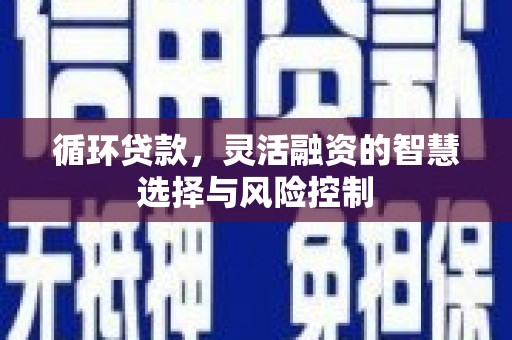 林甸循环贷款，灵活融资的智慧选择与风险控制