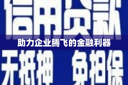 仁寿助力企业腾飞的金融利器
