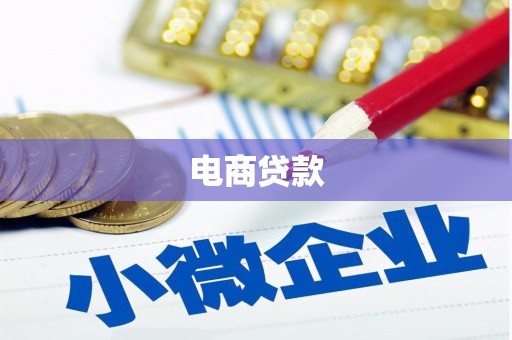 大丰电商贷款