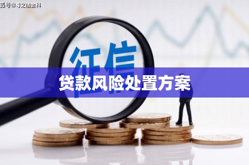 刚察贷款风险处置方案