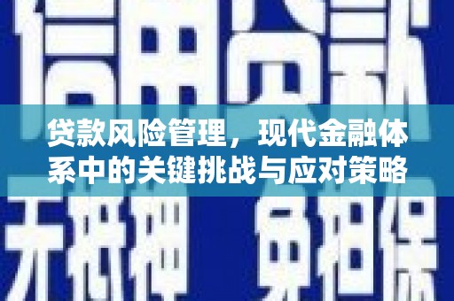 德庆贷款风险管理，现代金融体系中的关键挑战与应对策略