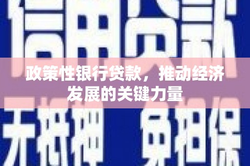 安化政策性银行贷款，推动经济发展的关键力量