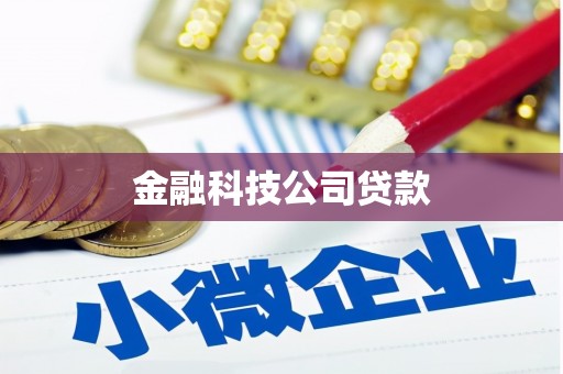 巴马金融科技公司贷款