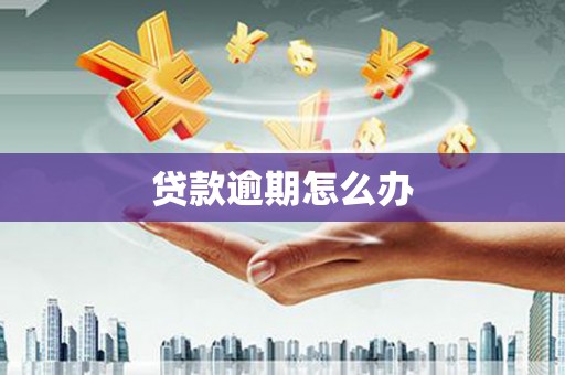 独山贷款逾期怎么办