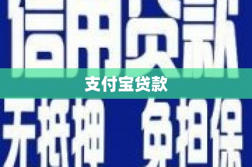 集集支付宝贷款