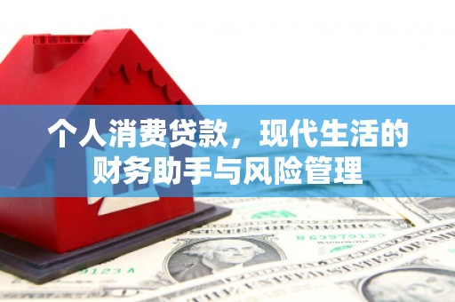 鹿草个人消费贷款，现代生活的财务助手与风险管理