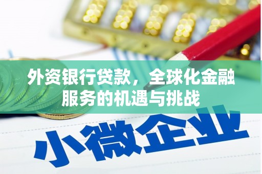 韶关外资银行贷款，全球化金融服务的机遇与挑战
