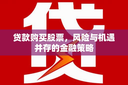 海勃湾贷款购买股票，风险与机遇并存的金融策略