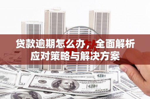 海东贷款逾期怎么办，全面解析应对策略与解决方案