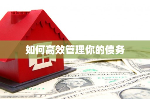 八德如何高效管理你的债务