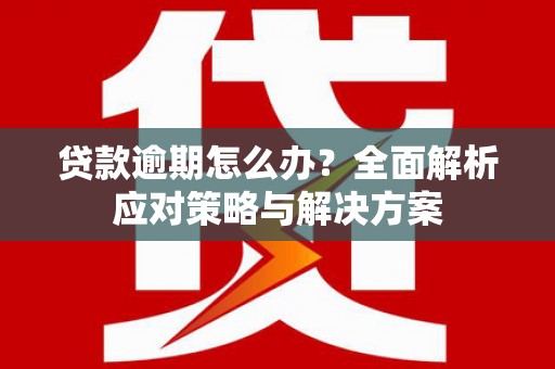 甲仙贷款逾期怎么办？全面解析应对策略与解决方案