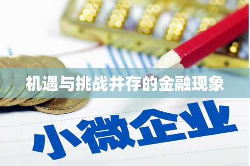 凤城机遇与挑战并存的金融现象