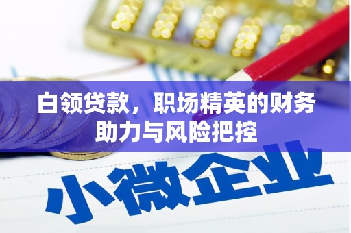 巧家白领贷款,职场精英的财务助力与风险把控 巧家白领贷款,职场精英的财务助力与风险把控